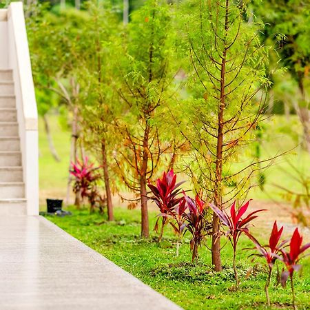 Dream Field Apartment Luye Exterior photo
