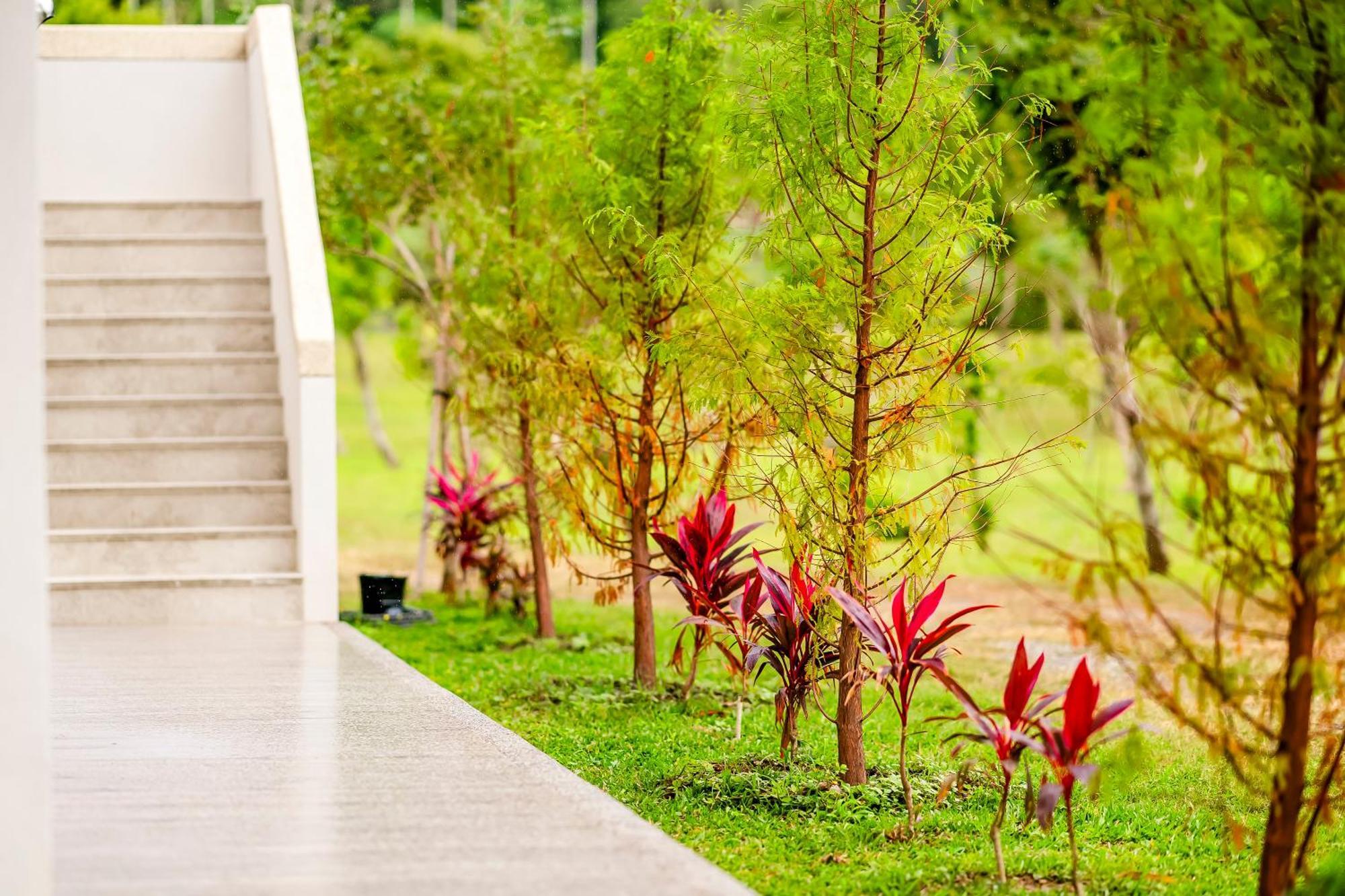 Dream Field Apartment Luye Exterior photo